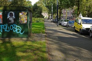 Міські дерева: тінь, охолодження вулиць і простір для коренів
